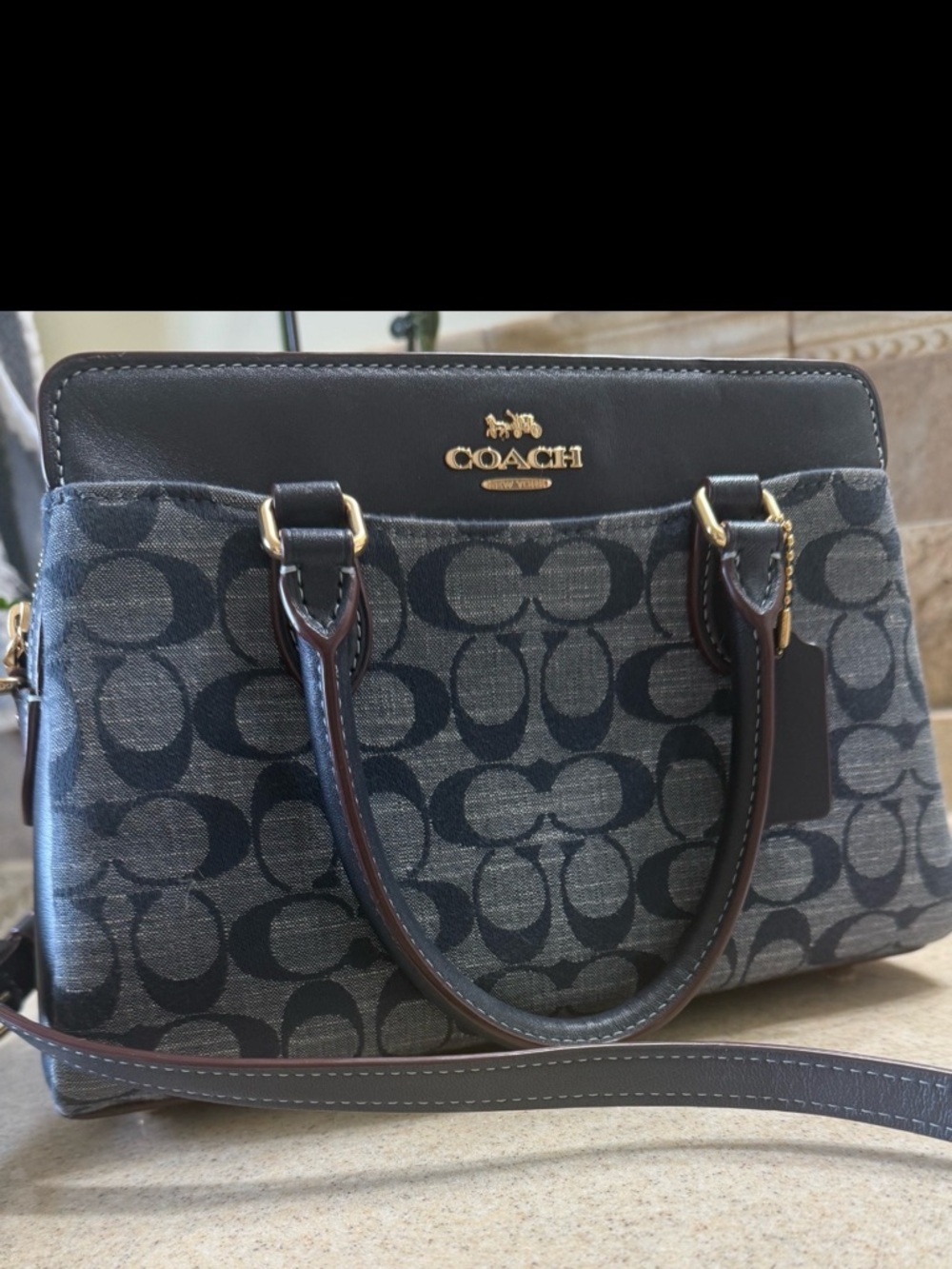 COACH Blue Signature Chambray w/navy trim Darcie Mini Carry-All W/ Gold Hardware - Picture 2 of 8